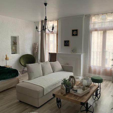 Le Green & Peace Centre Historique, En Face Du Musee Du Pilori, A 2Mn A Pied De L'Hyper Centre Et Proche Toutes Commodites, Wifi-Netflix Niort Luaran gambar