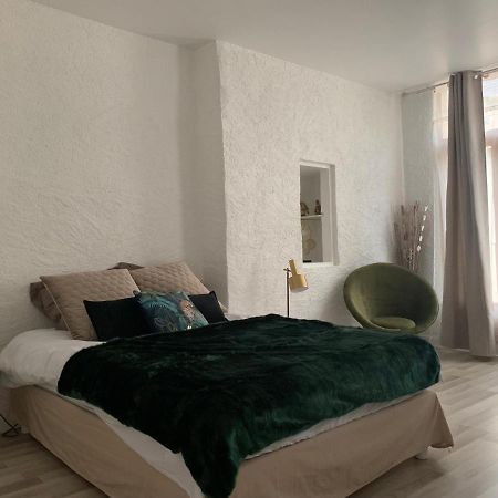 Le Green & Peace Centre Historique, En Face Du Musee Du Pilori, A 2Mn A Pied De L'Hyper Centre Et Proche Toutes Commodites, Wifi-Netflix Niort Luaran gambar